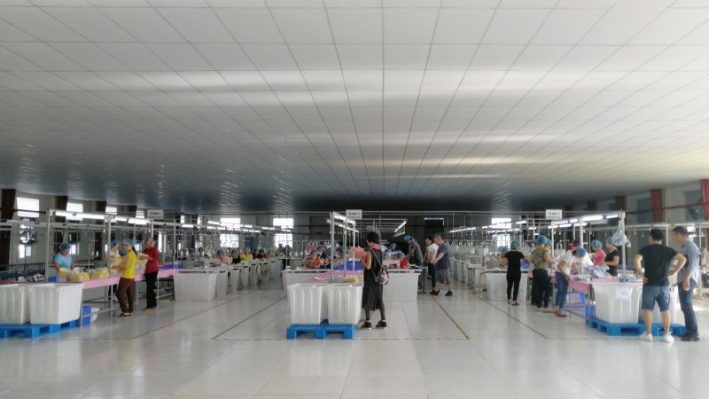 PA旗舰厅手袋越南工厂正式投产实景拍摄